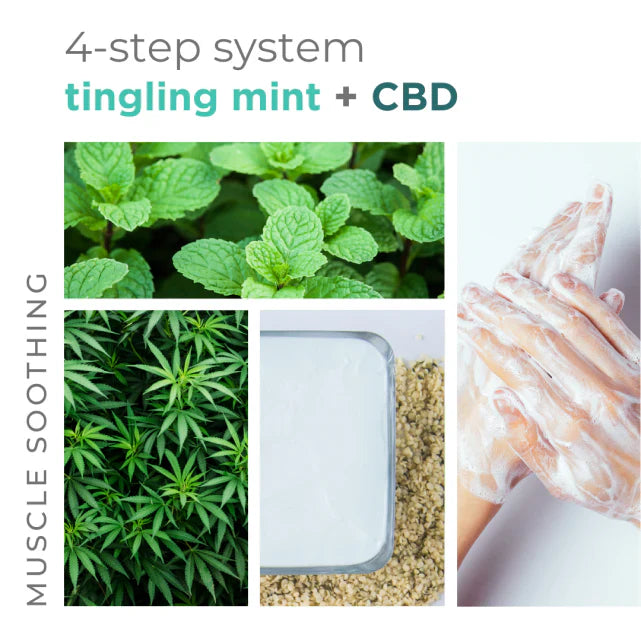 BCL -  Tingling Mint 4-in-1 Packet Box Set
