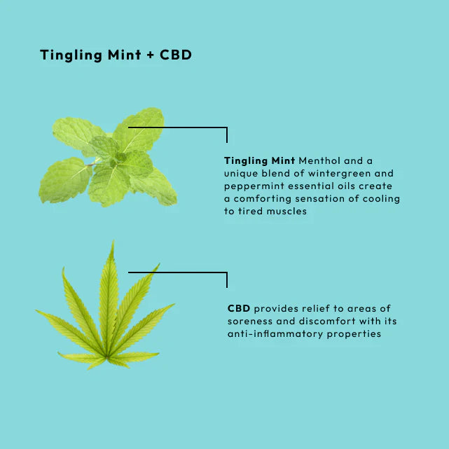 BCL -  Tingling Mint 4-in-1 Packet Box Set